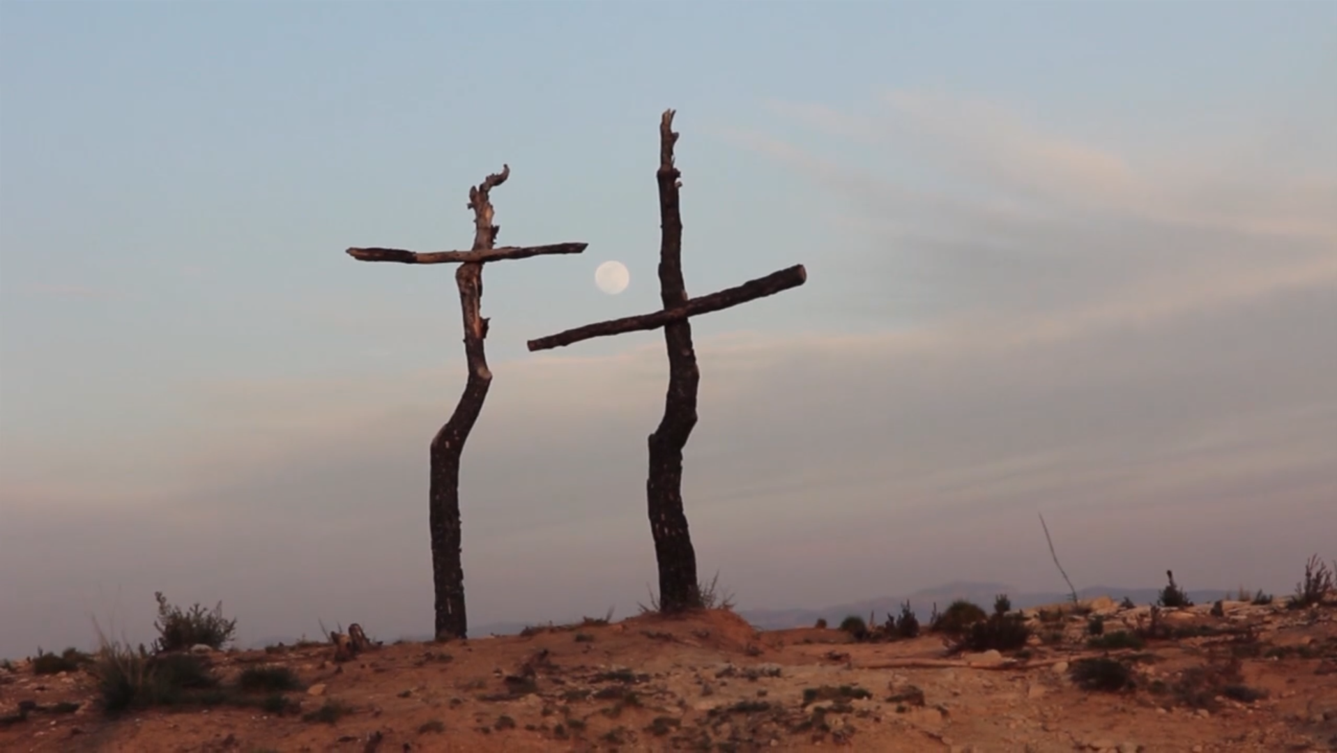 Bosc de Ciment (1er Premio Mejor producción #LaMerceDoc)
